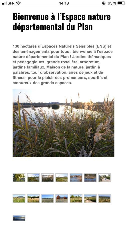 Maison "Les Vignes" Le Pradet Exteriér fotografie